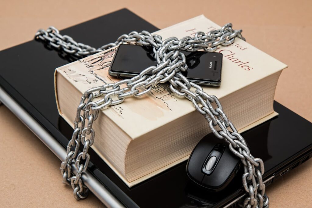 Safeguarding-Personal -nformation- Closer-Look-Data-Privacy-India