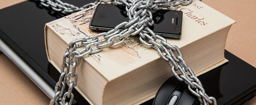 Safeguarding Personal Information: A Closer Look at Data Privacy in India